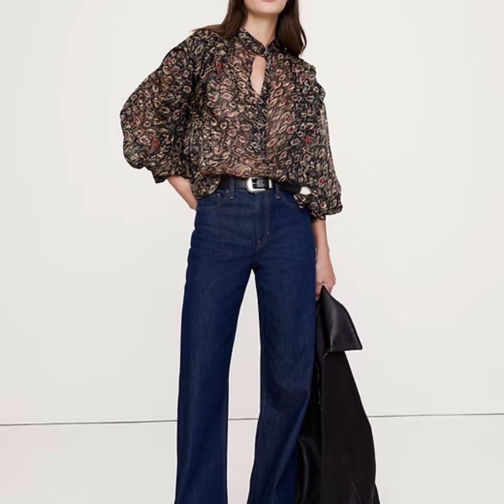 Banana Republic Sheer Pleat-Shoulder Blouse